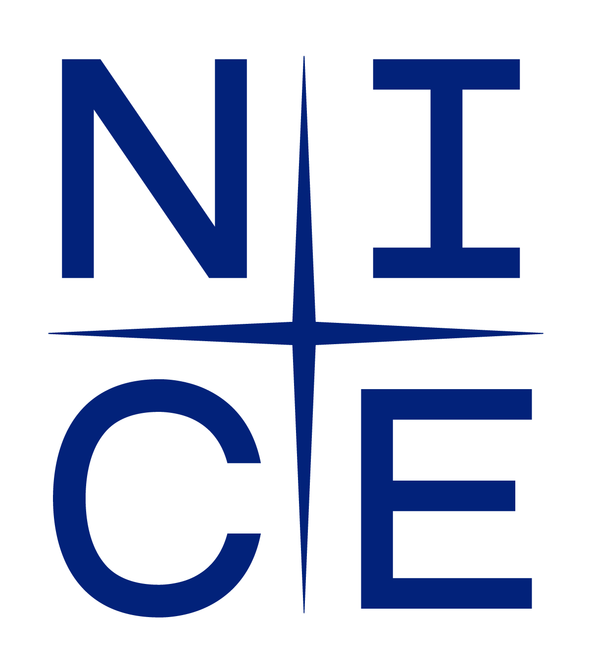 NICE정보통신 | Brand